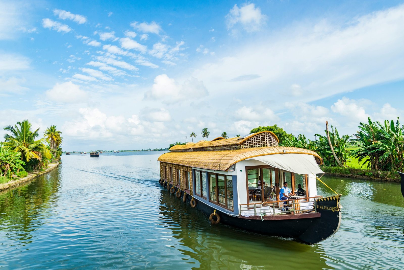 Munnar & Alleppey Backwater Package