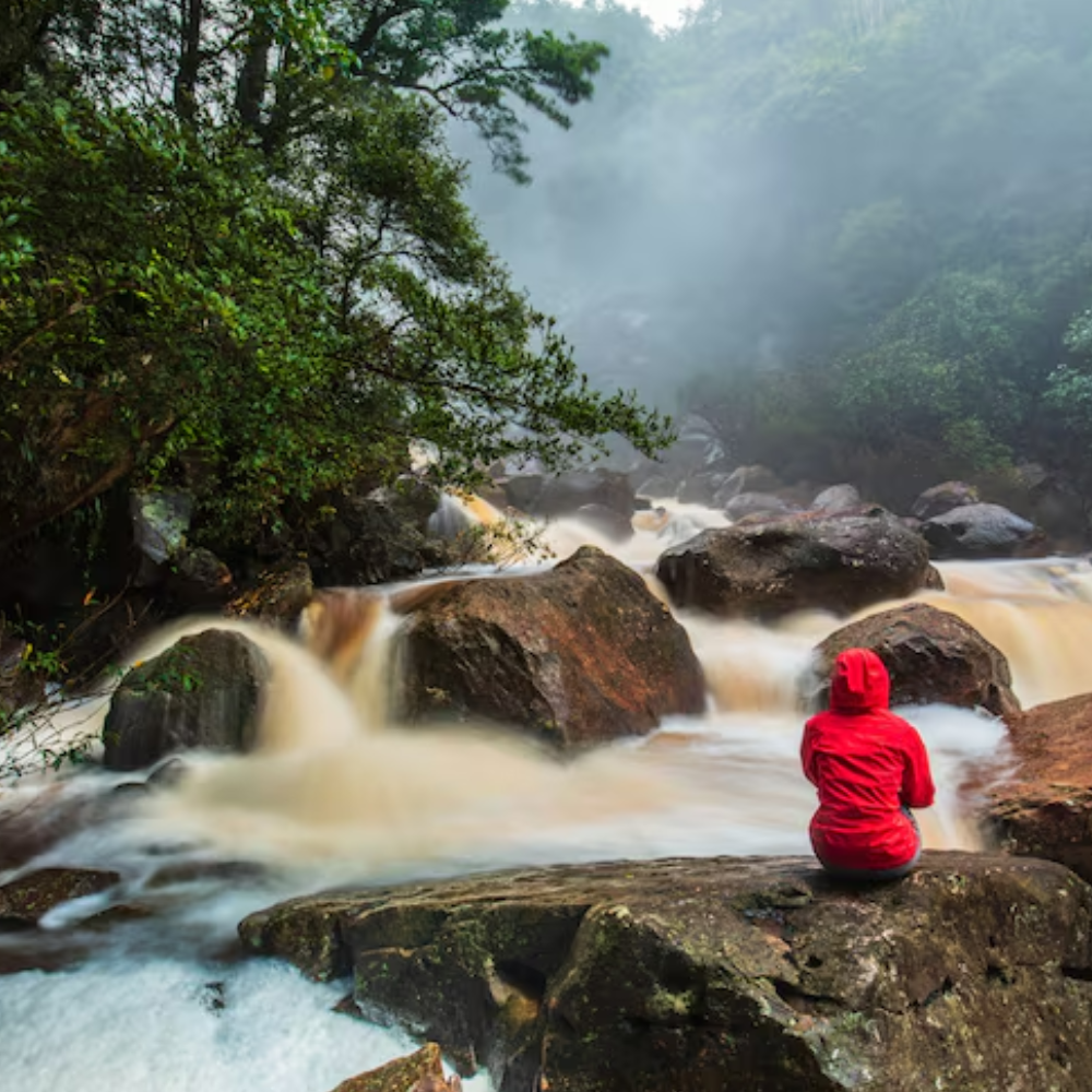 Kerala Nature & Pilgrimage Tour Package