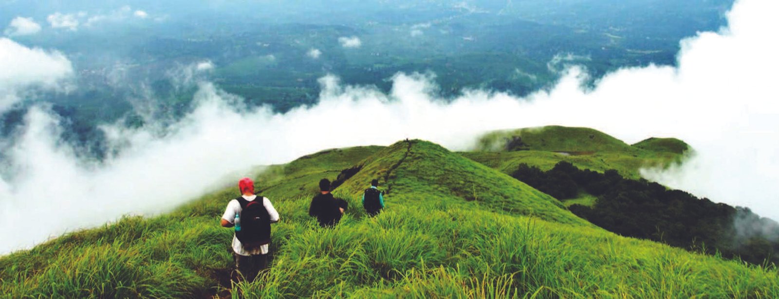 Kerala Hill Stations & Wildlife Adventure