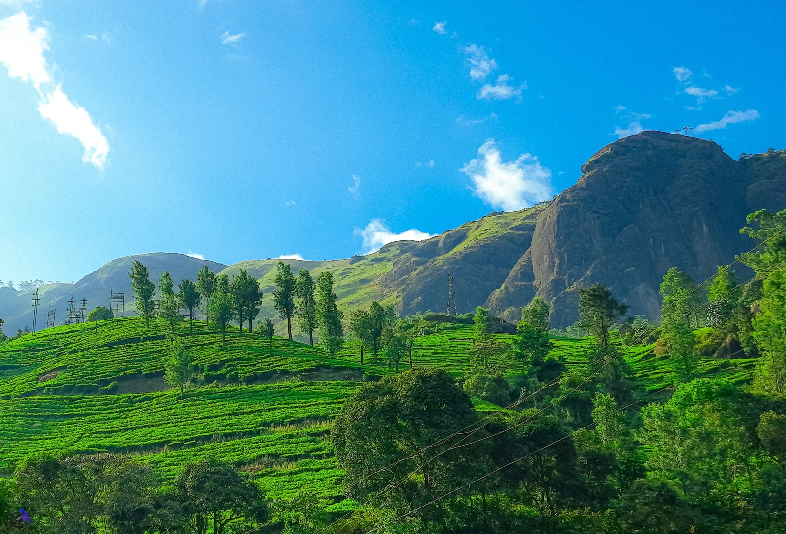 Kerala Nature & Pilgrimage Tour Package
