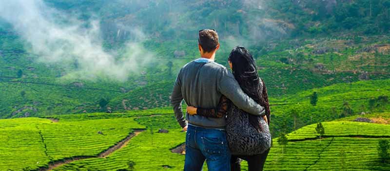 Kerala Honeymoon with Tea Gardens & Backwaters