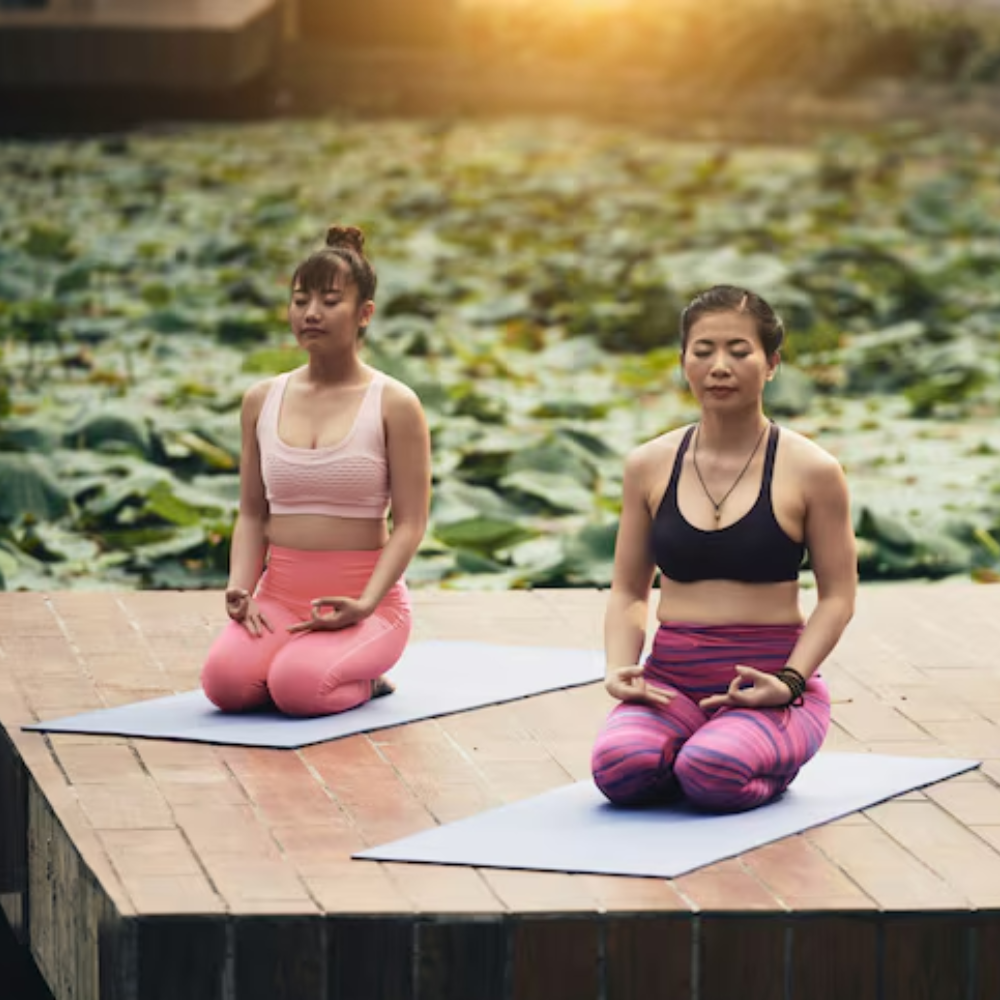 Ayurveda + Yoga & Wellness Tours (India Holistic Travel)