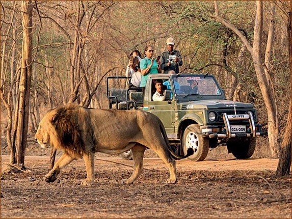 Golden Triangle Tour With Ranthambore – 5 Days of Culture & Wildlife