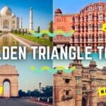7-Day Golden Triangle Tour Package for International Tourists