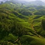 Kerala tour packages for UK Travellers