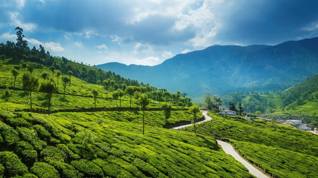 Kerala holiday packages for UK Travellers