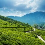 Kerala holiday packages for UK Travellers