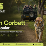 Why Jim Corbett Is Popular Among International Wildlife Tourist